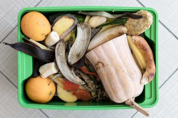 Každý Pražan ročně vyhodí 26 kg jídla: Manuál k úsporám