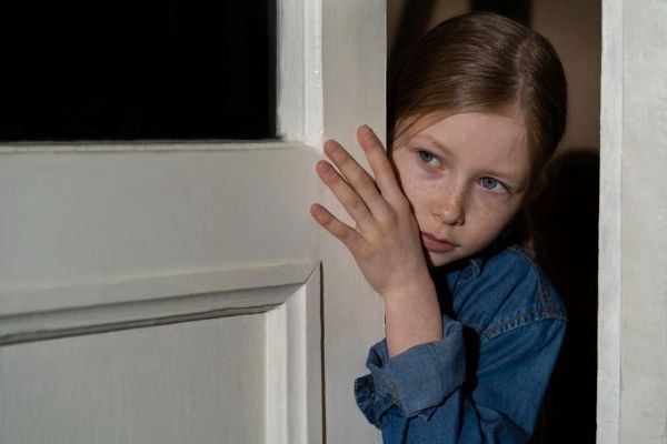 Novela rodinného práva: soudy v Plzni mají rychleji odhalovat domácí násilí a lépe chránit děti