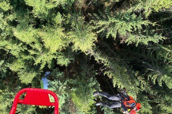 Paraglidista zachráněn ze stromu u Sušice