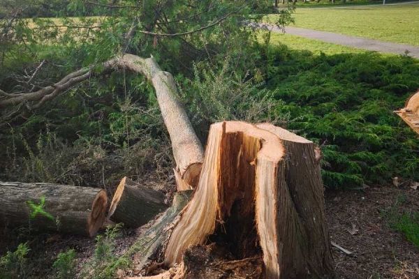 Park u Společenského domu v Otrokovicích prochází obnovou a novou výsadbou