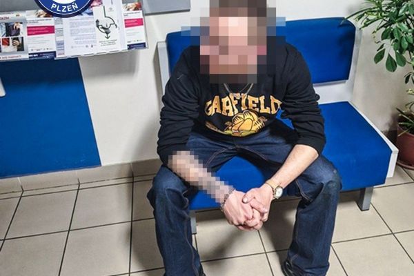 Pět hledaných během pár dnů. Strážníci v Plzni opět využili místní znalost