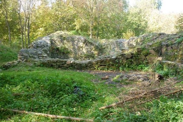 Zříceninu hradu Ronovec čeká záchrana: Havlíčkův Brod investuje milion do její konzervace