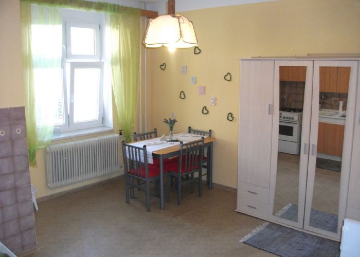 Pronájem bytu 1+1 v rodinném domě, Plzeň - Skvrňany