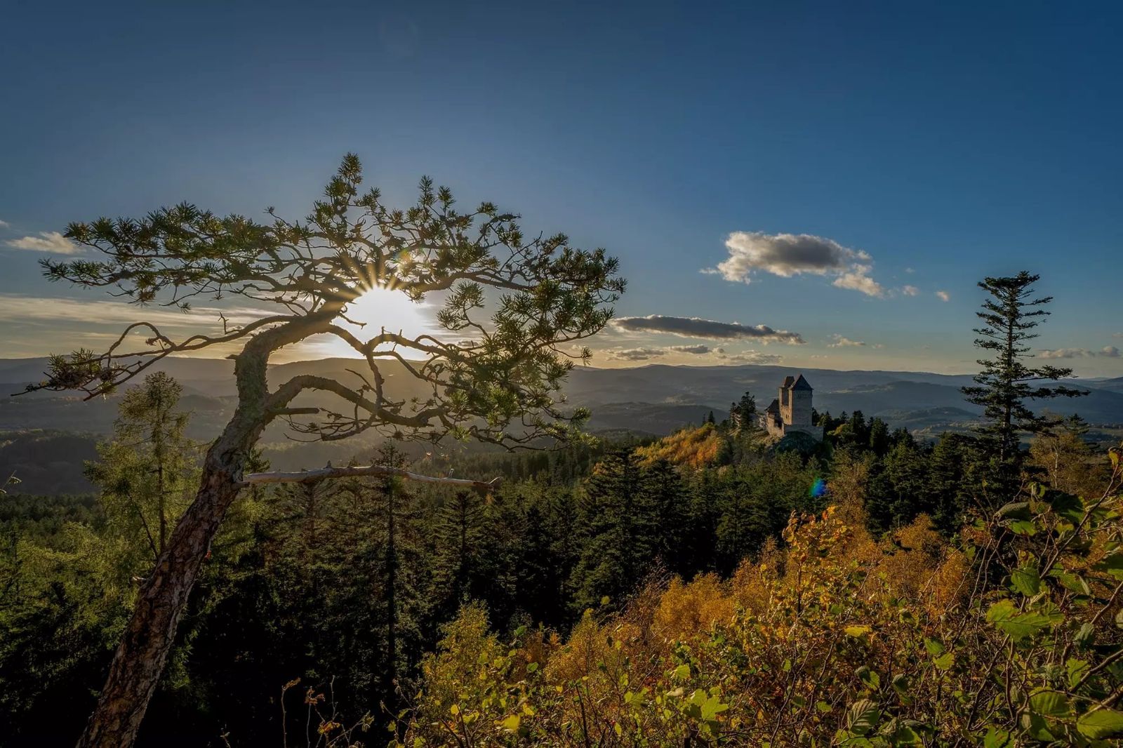 Když se Šumava potká se světlem. Švihov vystavuje fotografie Milana Janocha