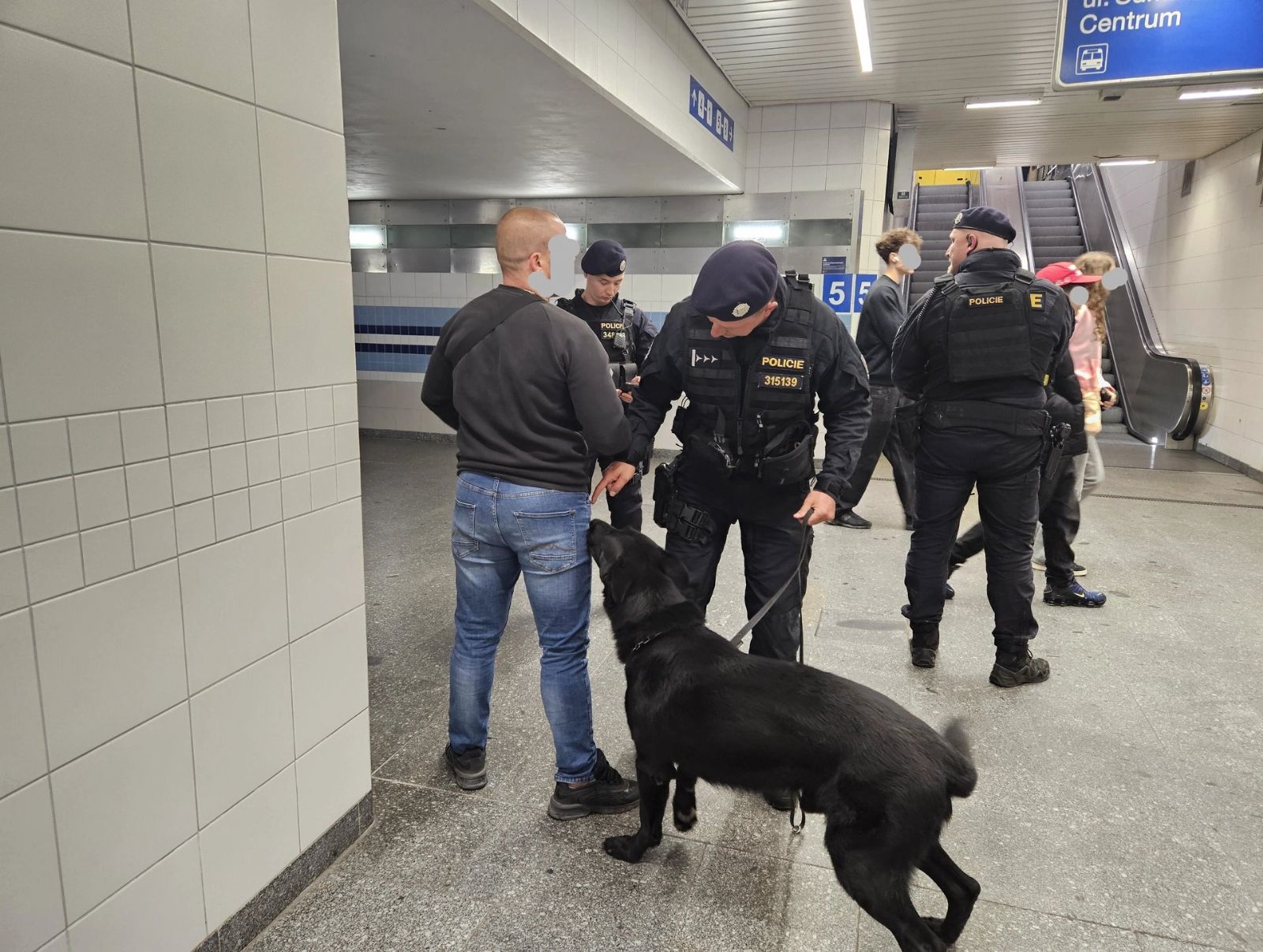 obrázek: Noční policejní akce v Plzni zkontrolovala 688 lidí a odhalila opilého řidiče i alkohol u mladistvých