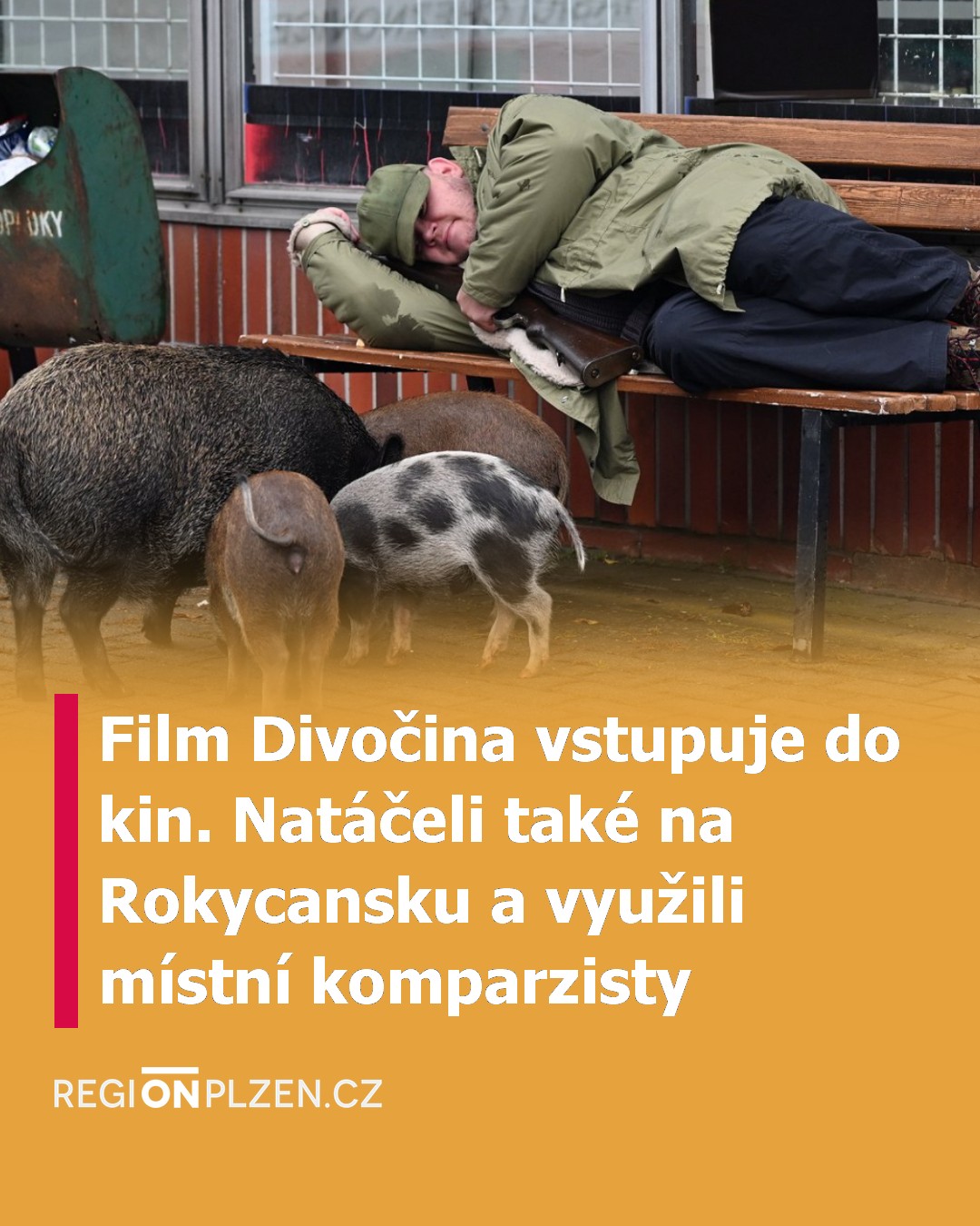 Film Divočina vstupuje do kin. Natáčeli také na Rokycansku a využili místní komparzisty