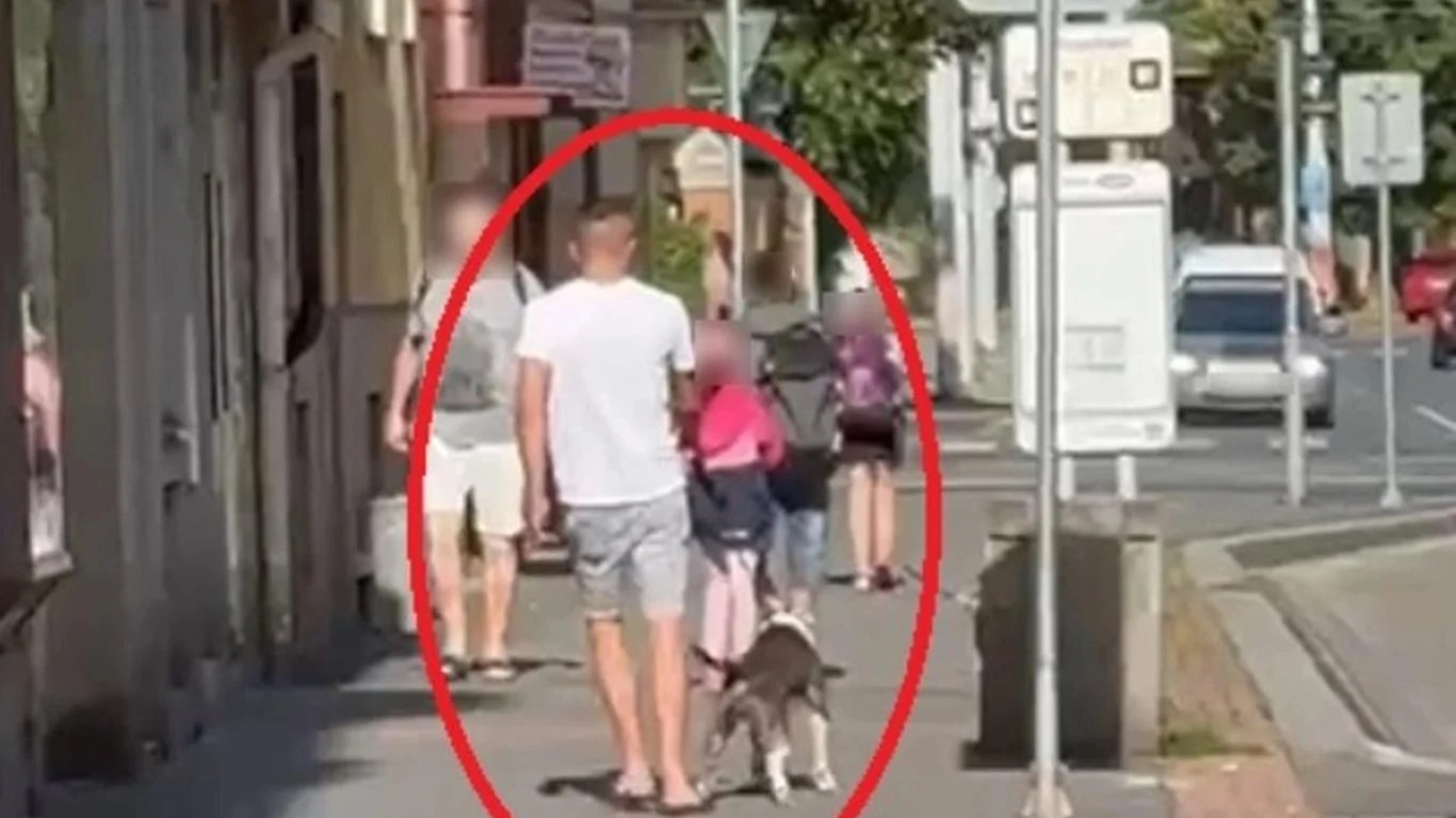 Muž v Plzni měl poštvat psa na králíka na cizí zahradě. Zvíře útok nepřežilo, pátrá po něm policie