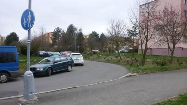 Kácení dřevin v Západní ulici