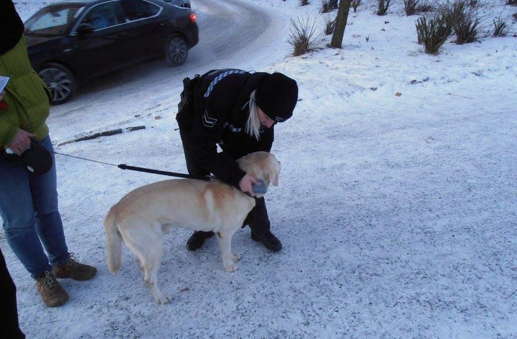 Strážníci městské policie na Lochotíně chystají intenzivnější kontroly