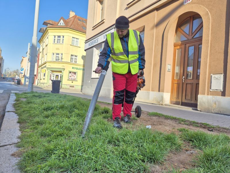 Uklízeli psí exkrementy na Roudné