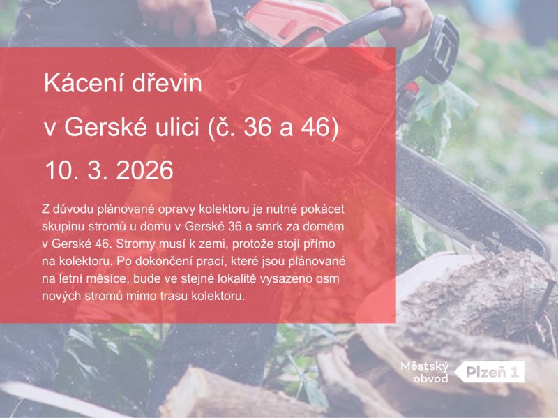 V Gerské ulici se bude kácet kvůli nutné opravě kolektoru