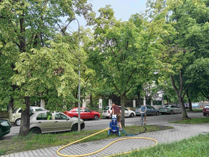 Lípy na Slovanech dostaly pořádnou dávku živin