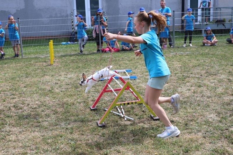 Začínají bezplatné lekce KRÁLIČÍHO HOPU