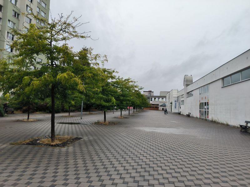 Dlažbu nahradí zeleň, vedení centrálního obvodu už zadalo projekt