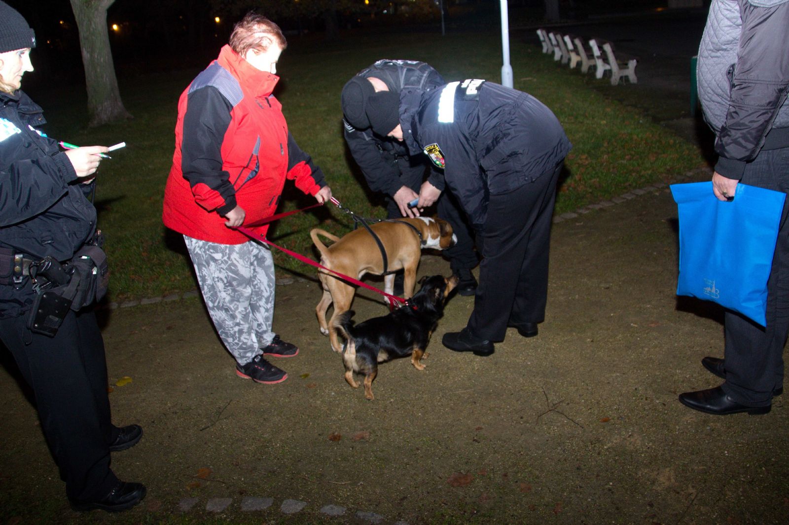 Na Borech proběhla kontrola dodržování povinností majitelů psů