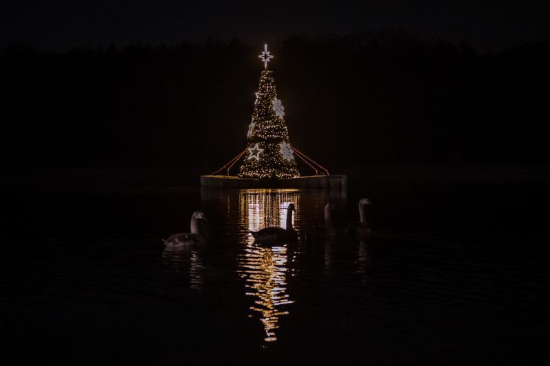 Strom na hladině Borské přehrady rozzářila tisícovka návštěvníků