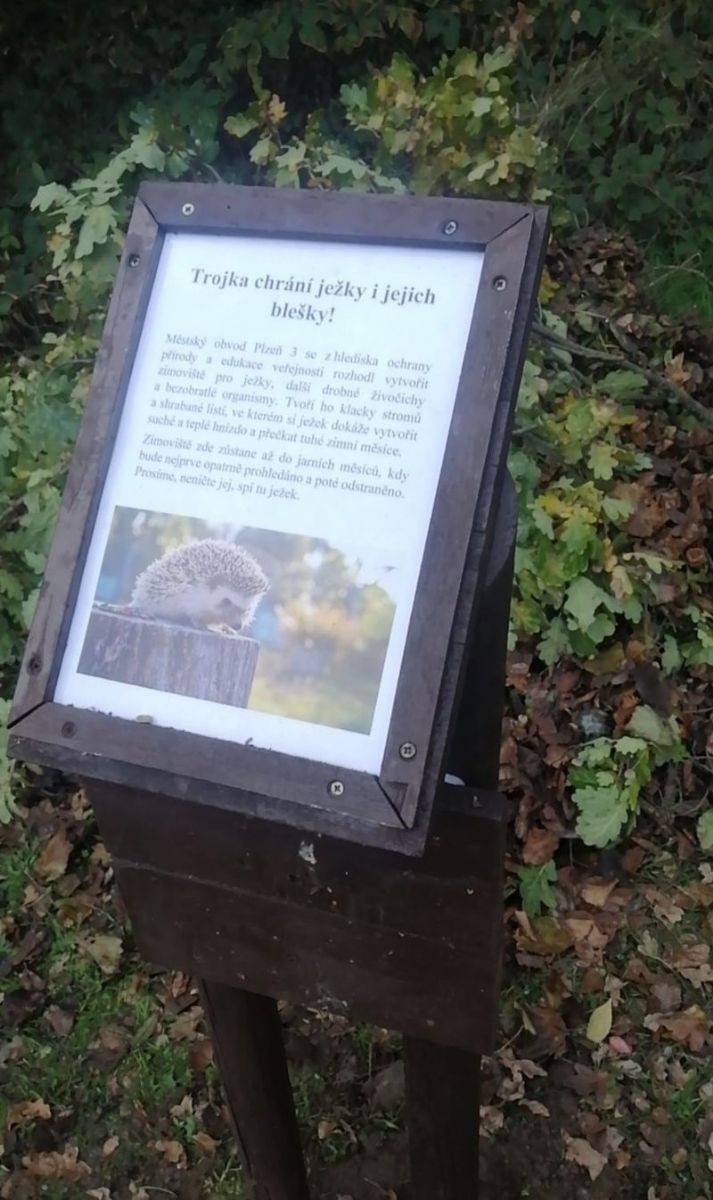 Trojka chrání ježky i jejich blešky. Už potřetí!