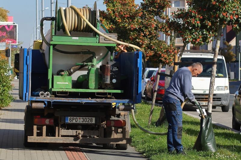 Čtyřka se připravuje na změny v péči o zeleň, vlna veder určuje nový směr