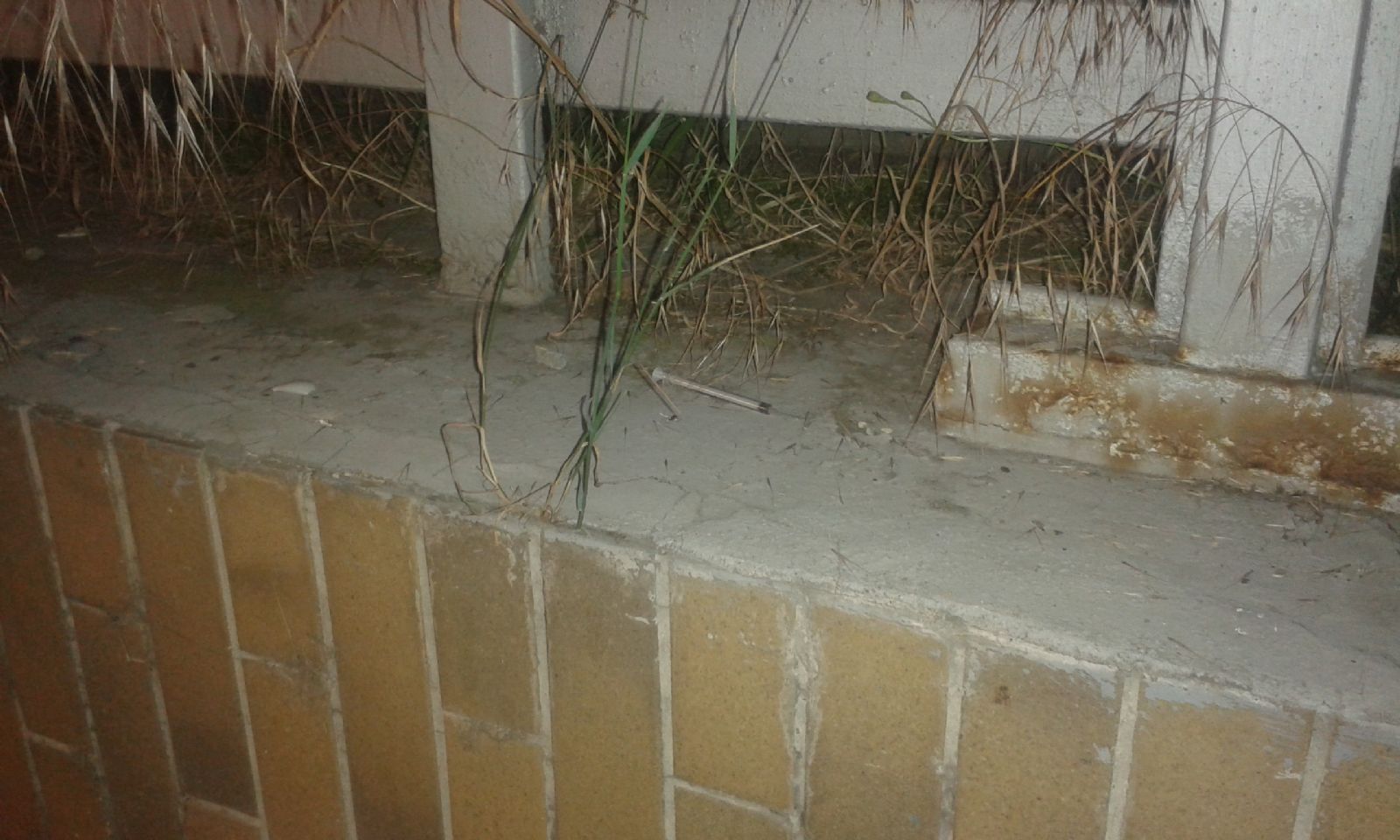 obrázek: Co dělat při nálezu pohozené injekční stříkačky