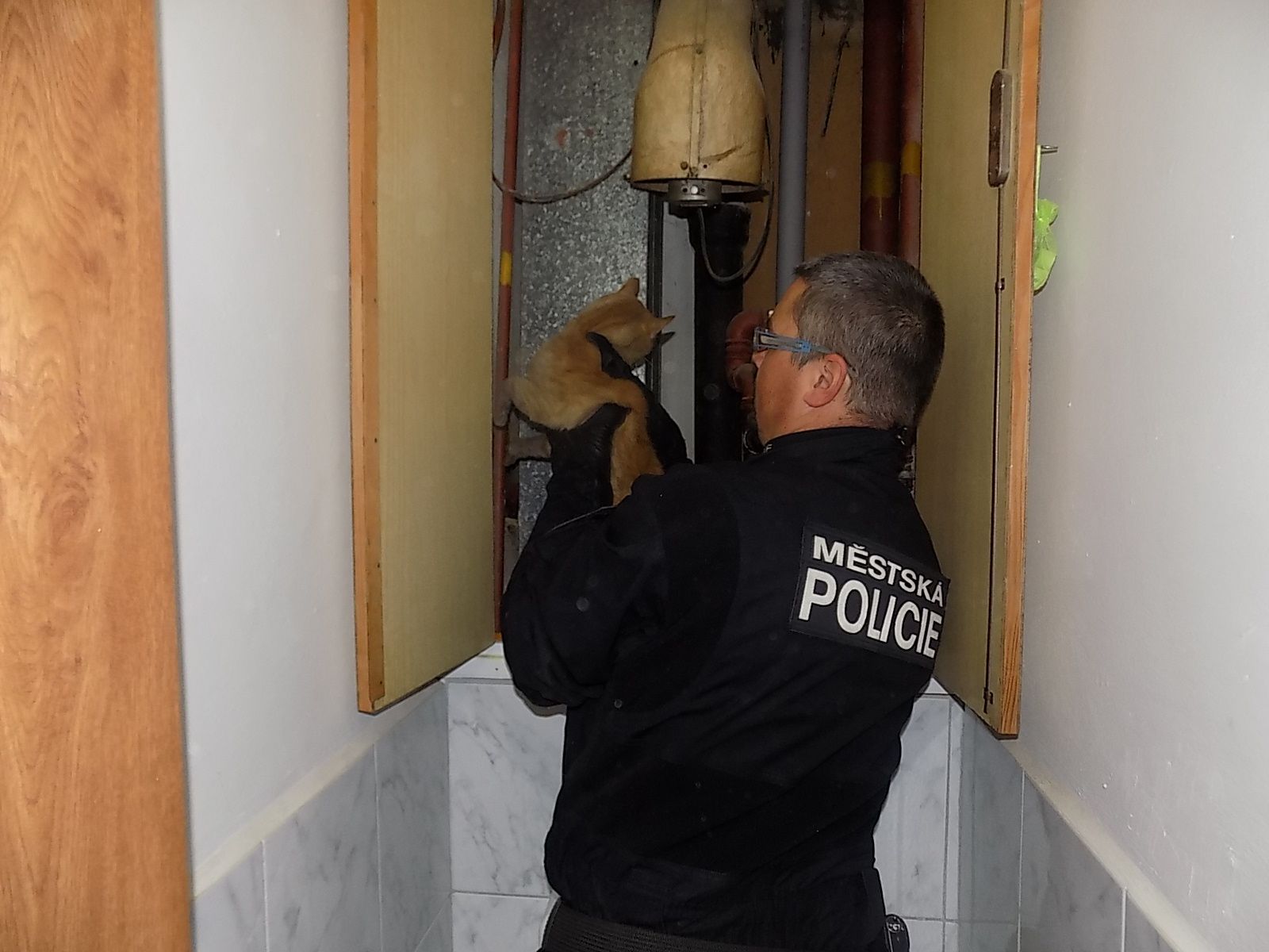 obrázek: Kočka uvízla ve ventilační šachtě domu