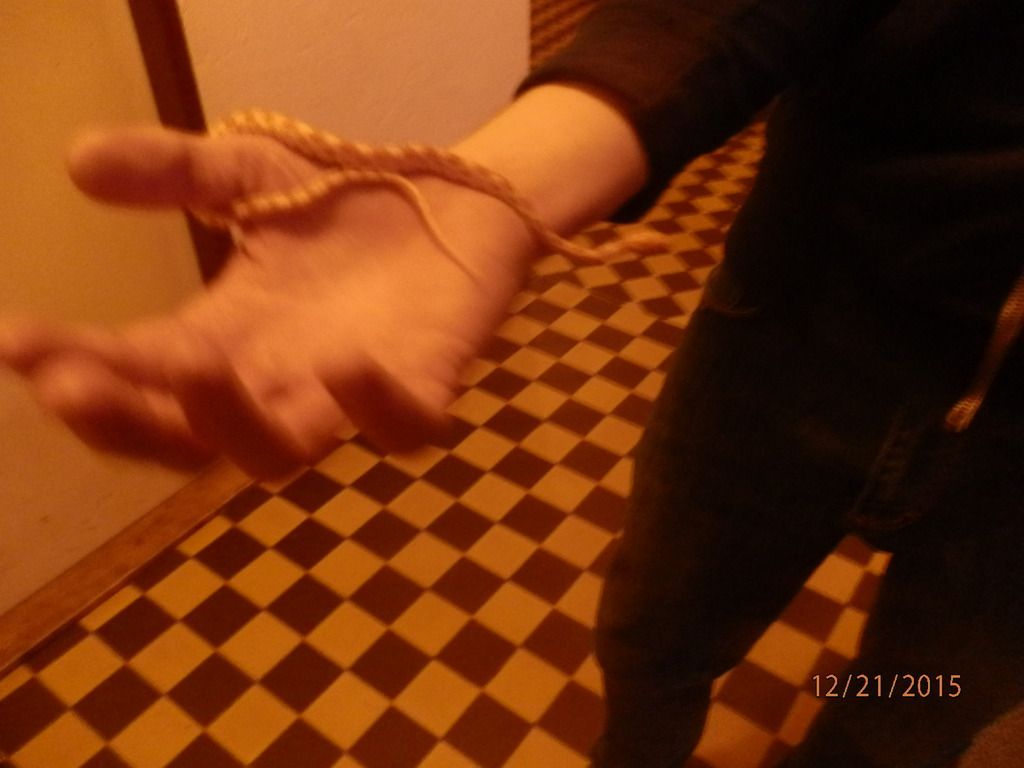 obrázek: Odchyt hada