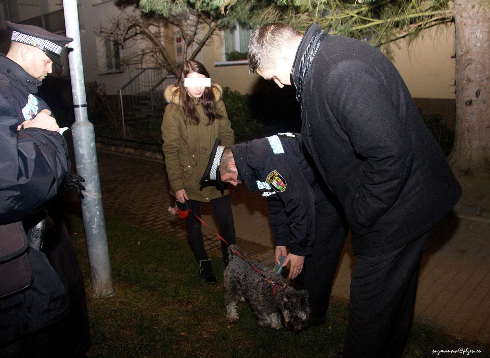 obrázek: Ukáznění pejskaři získali ve středu večer malý dárek