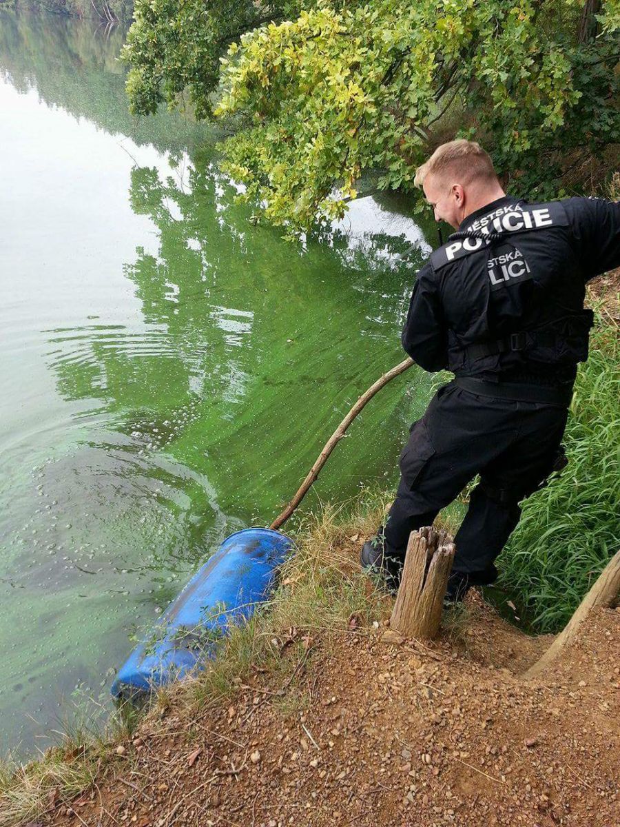 obrázek: Zásah strážníků a hasičů u nádrže České údolí