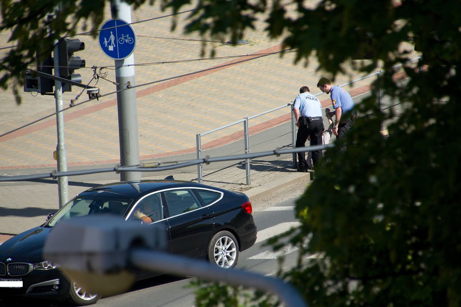 obrázek: Zmatená žena vběhla do silnice