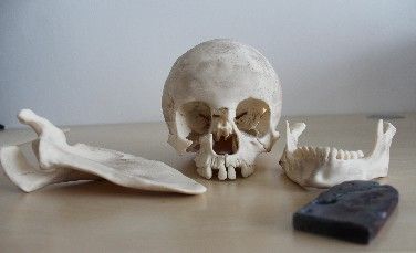 Repliky ostatků Jana Nepomuckého vznikly díky spolupráci doktorandů ZČU