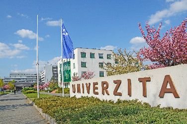 Univerzitu představí dvě výstavy v centru Plzně