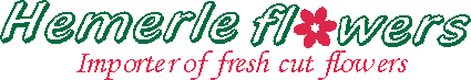 obrazek: logo Hemerle flowers