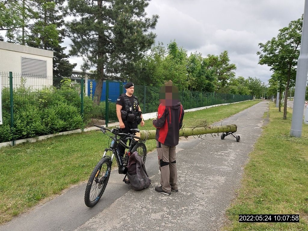 obrázek: Cyklista za sebou táhl kradený pětimetrový kmen