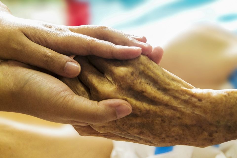 Do sociálních služeb v Plzni půjde za čtyři roky 192 milionů 