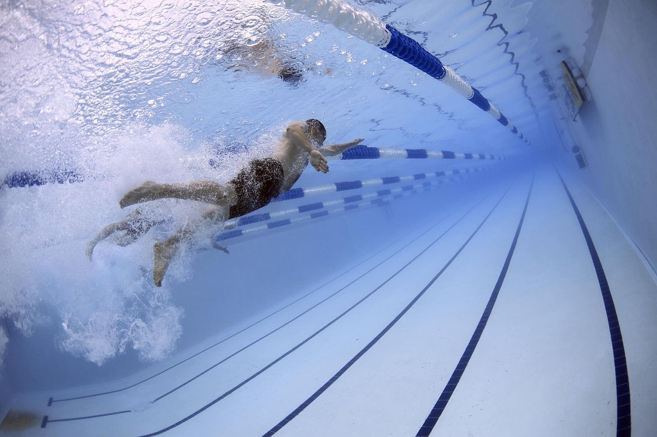 obrázek: Dotace dostanou plavci i gymnastky, žádat mohou další