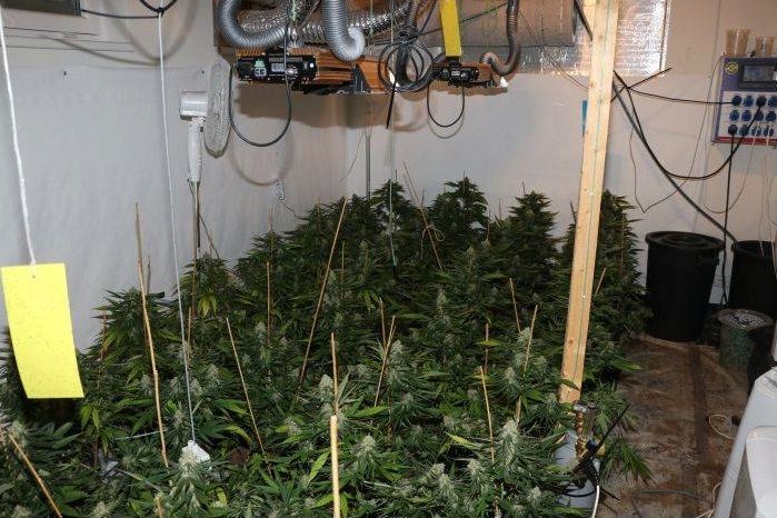 obrázek: Dům na Plzeňsku skrýval pěstírnu konopí i zbraně