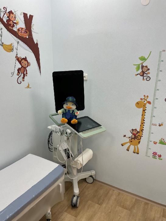 obrázek: FN Plzeň zmodernizovala a rozšířila dvě ambulance