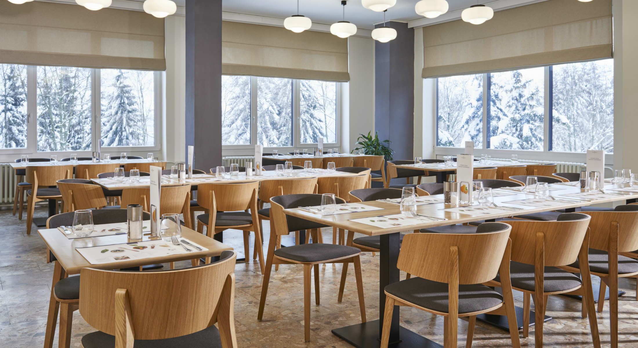 obrázek: Hosty restaurace na Šumavě obsluhuje robot
