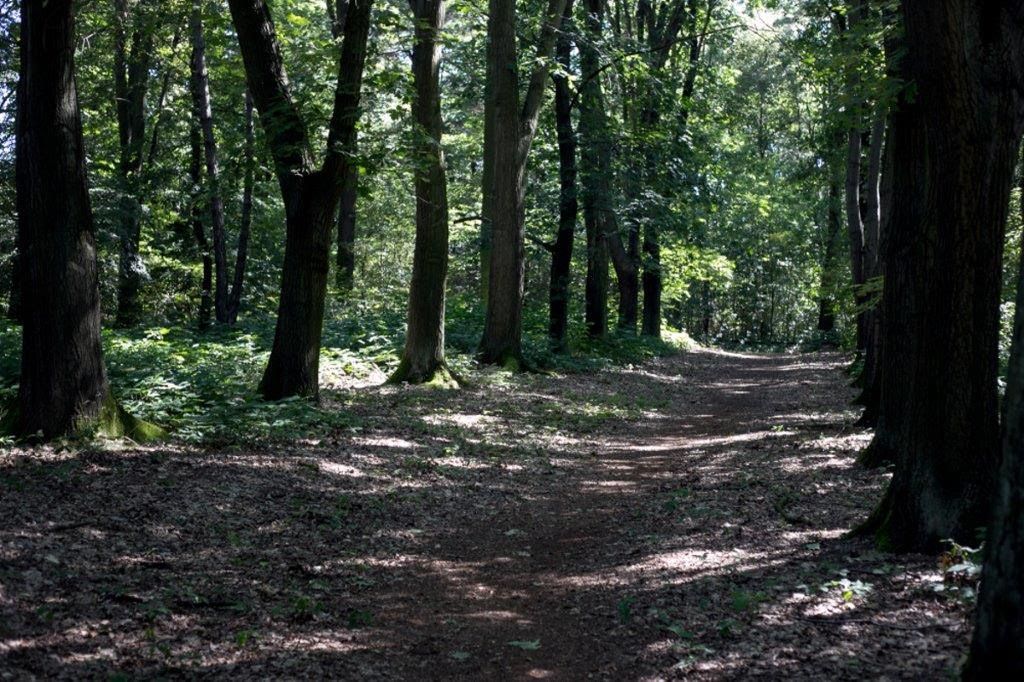 Jak si Stráň představují obyvatelé Rokycan?