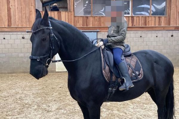 obrázek: Lékař z Jemenu, prodejce koní. Další podvodníci útočí