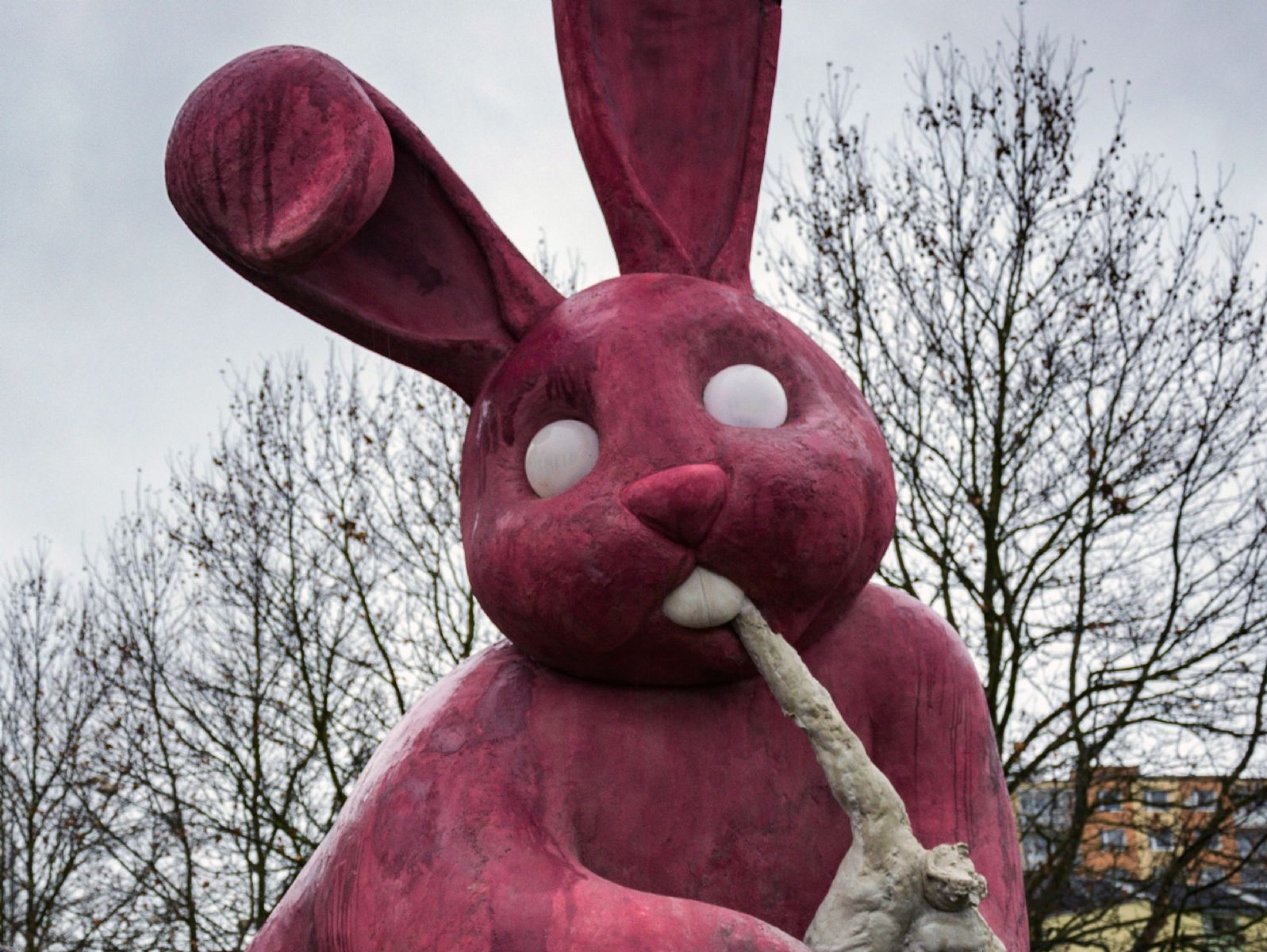 Lidé v Plzni hlasují o budoucnosti růžového králíka