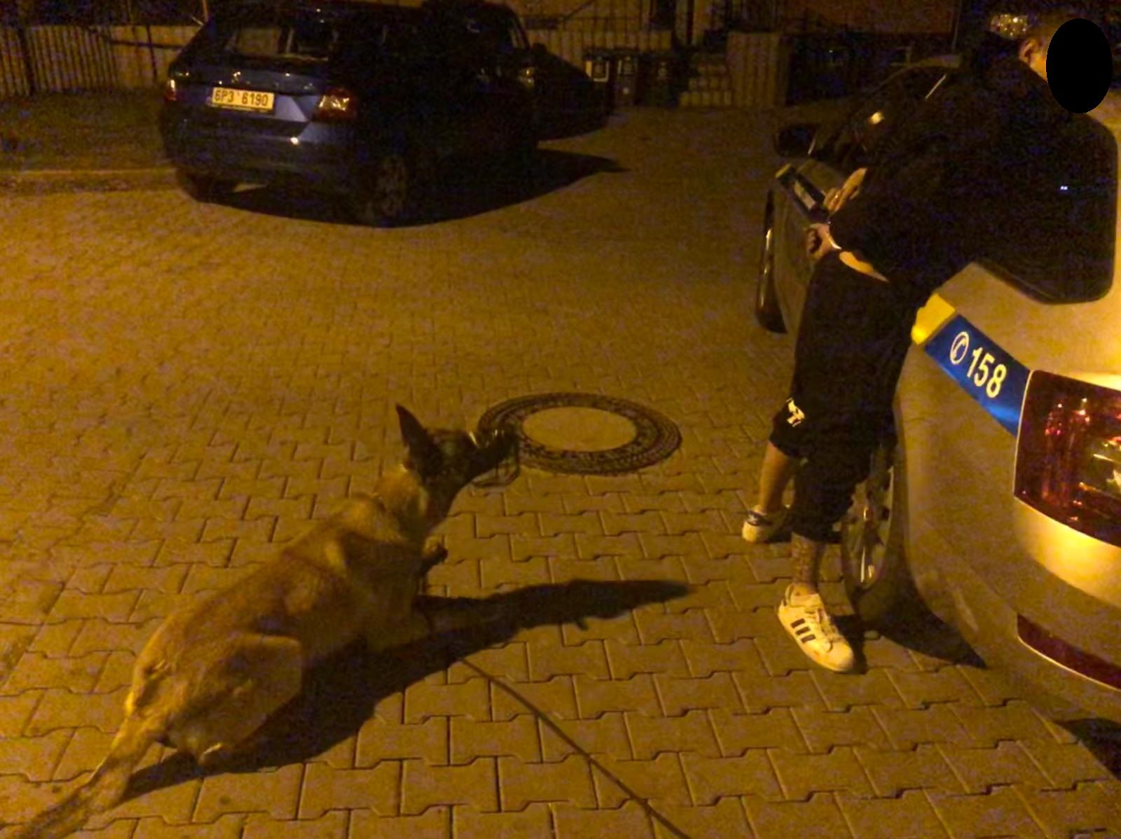 obrázek: Mladí tvrdili, že chtějí sex. Přitom šli krást