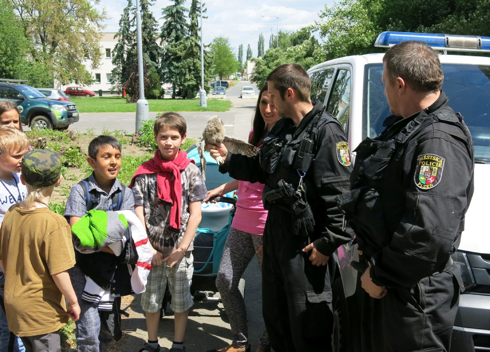 obrázek: Mladý kalous ze Slovan už je zpátky ve volné přírodě