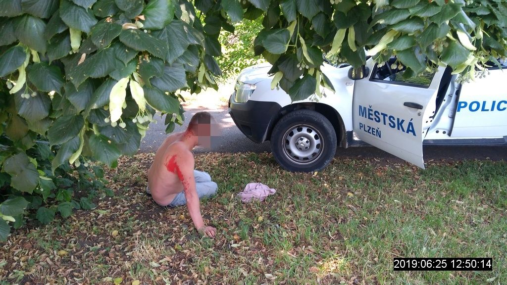 obrázek: Muž spící u Radbuzy v Plzni byl politý barvou 