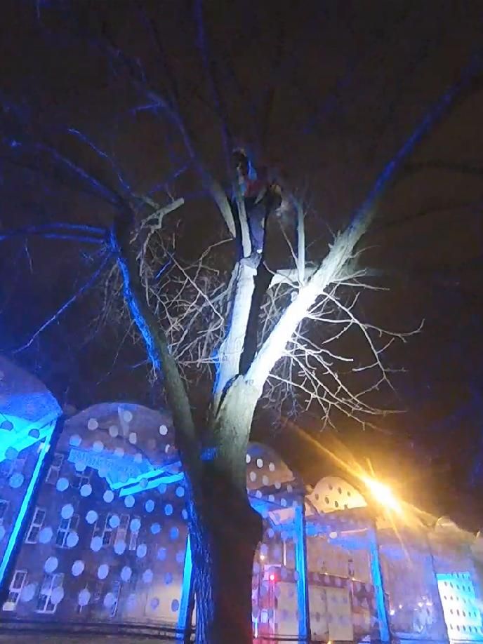 obrázek: Na Chodském náměstí vylezl na strom, bál se prý povodní 