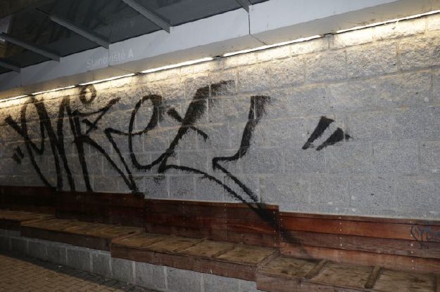 Na plzeňském vlakovém nádraží řádil sprejer