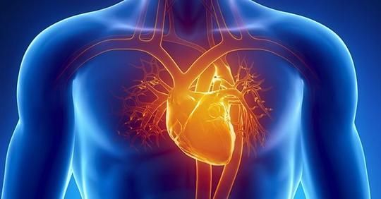 obrázek: Nemocnice v Domažlicích otevře ambulance kardiologie, angiologie a praktika