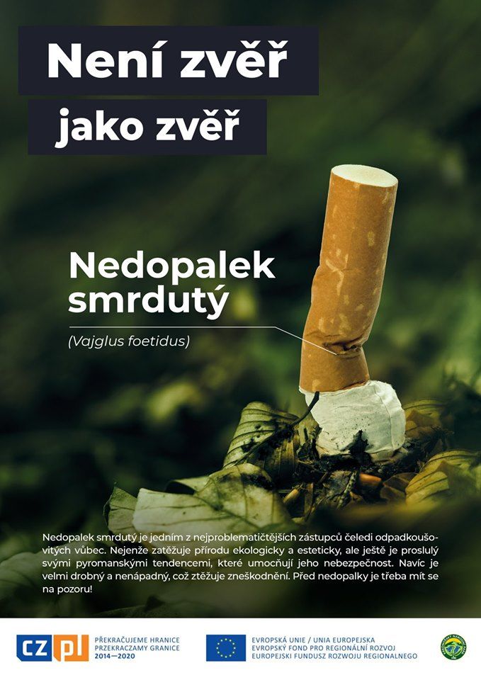 obrázek: Není zvěř jako zvěř, upozorňuje kampaň i na Šumavě 