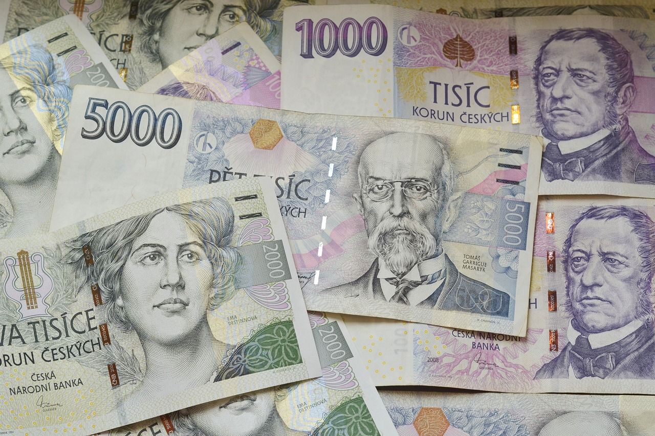 obrázek: Obrali stát na daních o 25 milionů, došla si pro ně zásahovka