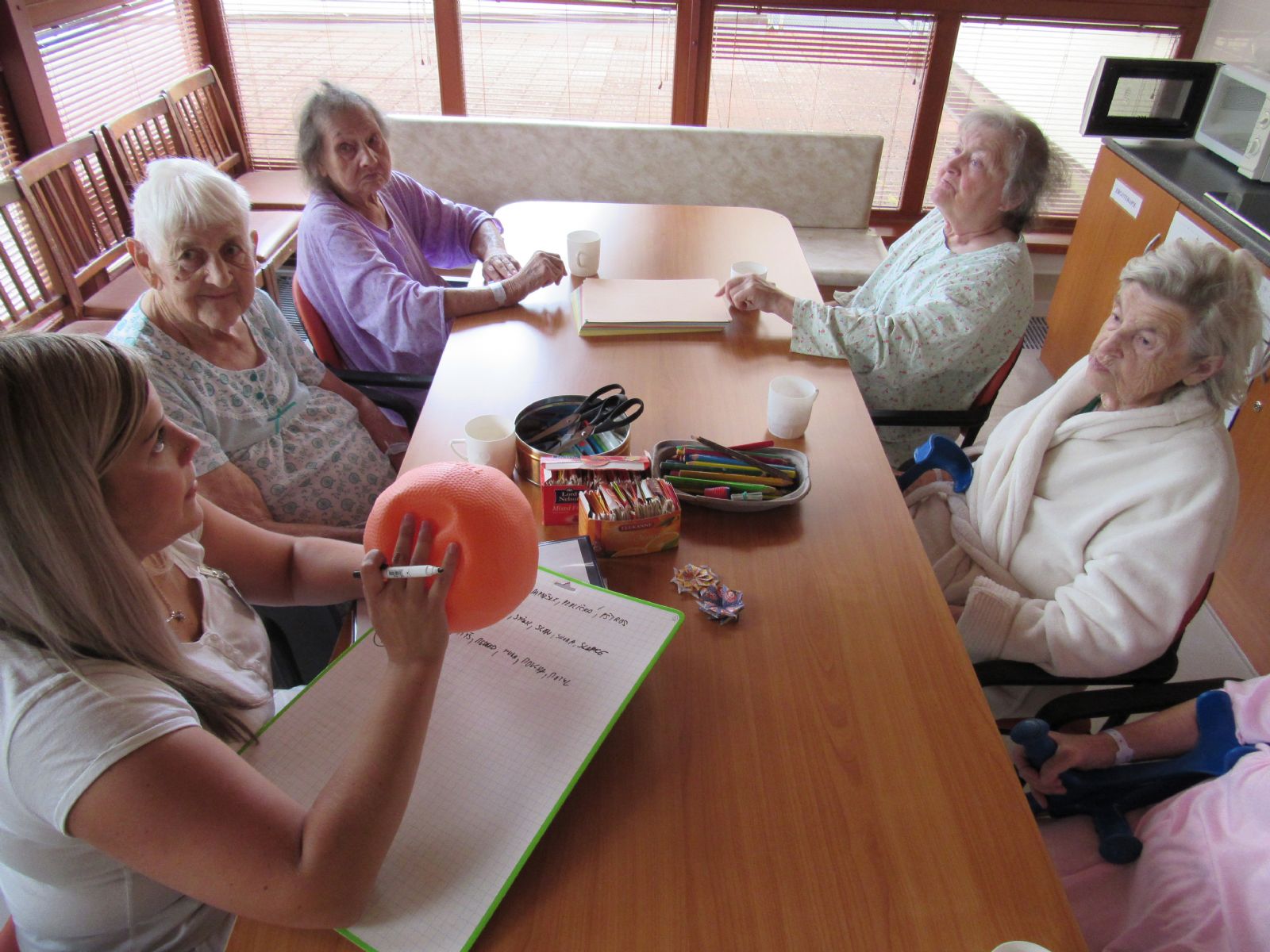 obrázek: Oddělení dlouhodobě nemocných sušické nemocnice má více než třetinový nárůst pacientů