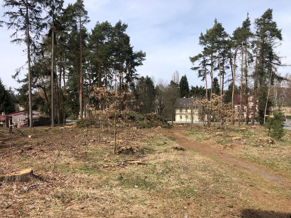obrázek: Pět set nových stromků omladí park v Konstantinových Lázních